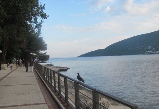 Мобилна апликација: Плаже слободне од ковида19